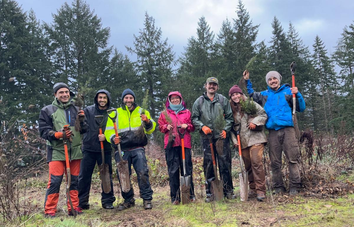 IIFSA-OSU members holding tree saplings in a forest clearing.