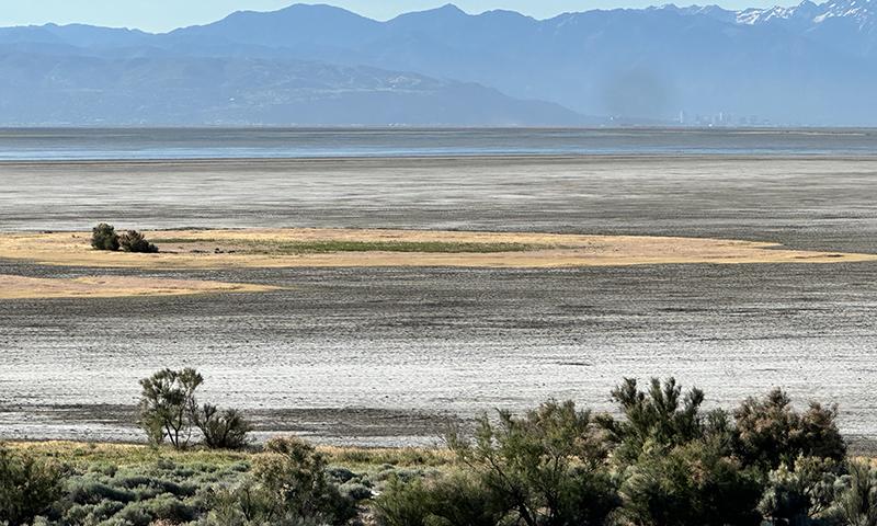 Great Salt Lake -- link to article about the lake and livestock irrigation